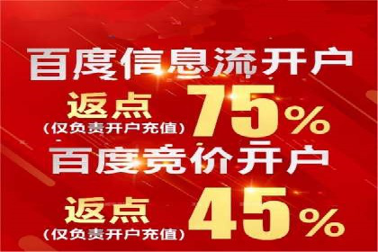 百度SEM竞价推广成功案例：某电商平台的营销奇迹